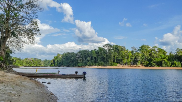 Suriname River.jpg